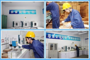 海螺耐火材料公司 服務水泥主業，打造行業精品耐火材料