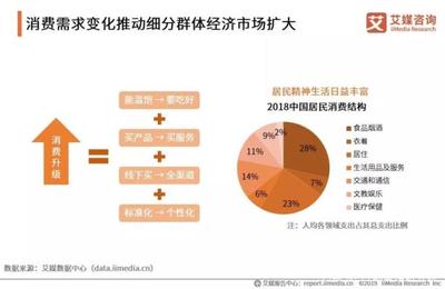 數據報告|2019中國互聯網群體經濟用戶與消費行為研究