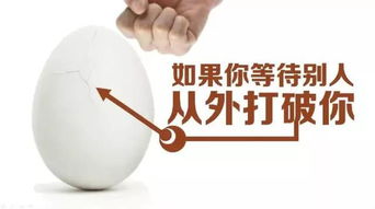 一顆不平凡的雞蛋 如何以微不足道之姿，撬動數億人的生活杠桿？